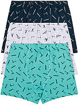 Дитяча білизна для хлопчиків, Туреччина. Боксерки для хлопчиків TM Baykar оптом р.2 (110-116 см)