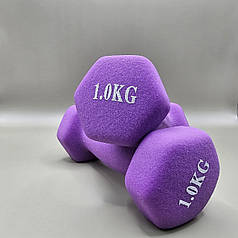 Гантелі для фітнесу неопрен World Sport 2 шт по 1 кг бузкові
