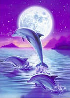 Картина алмазами Даймонд Дельфіни 40*30 1 шт (0279)