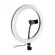 Кільцева світлодіодна лампа Ring Fill Light QX-200 діаметром 20 см, фото 3
