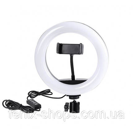Кільцева світлодіодна лампа Ring Fill Light QX-200 діаметром 20 см, фото 1