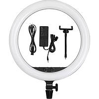 Кільцеве світло Godox LR150 Bi-Color LED Ring Light (LR150-Black)