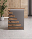 Приймання. Рецепція. Адміністративна зона. Каса. Пост. Ресепшн, фото 3