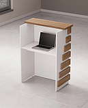 Приймання. Рецепція. Адміністративна зона. Каса. Пост. Ресепшн, фото 6