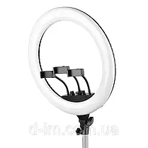 Кільцева світлодіодна лампа Ring Fill Light QX-360 діаметром 36 см з трьома тримачами, фото 4