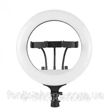 Кільцева світлодіодна лампа Ring Fill Light QX-360 діаметром 36 см з трьома тримачами, фото 1