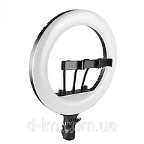 Кільцева світлодіодна лампа Ring Fill Light QX-360 діаметром 36 см з трьома тримачами, фото 3