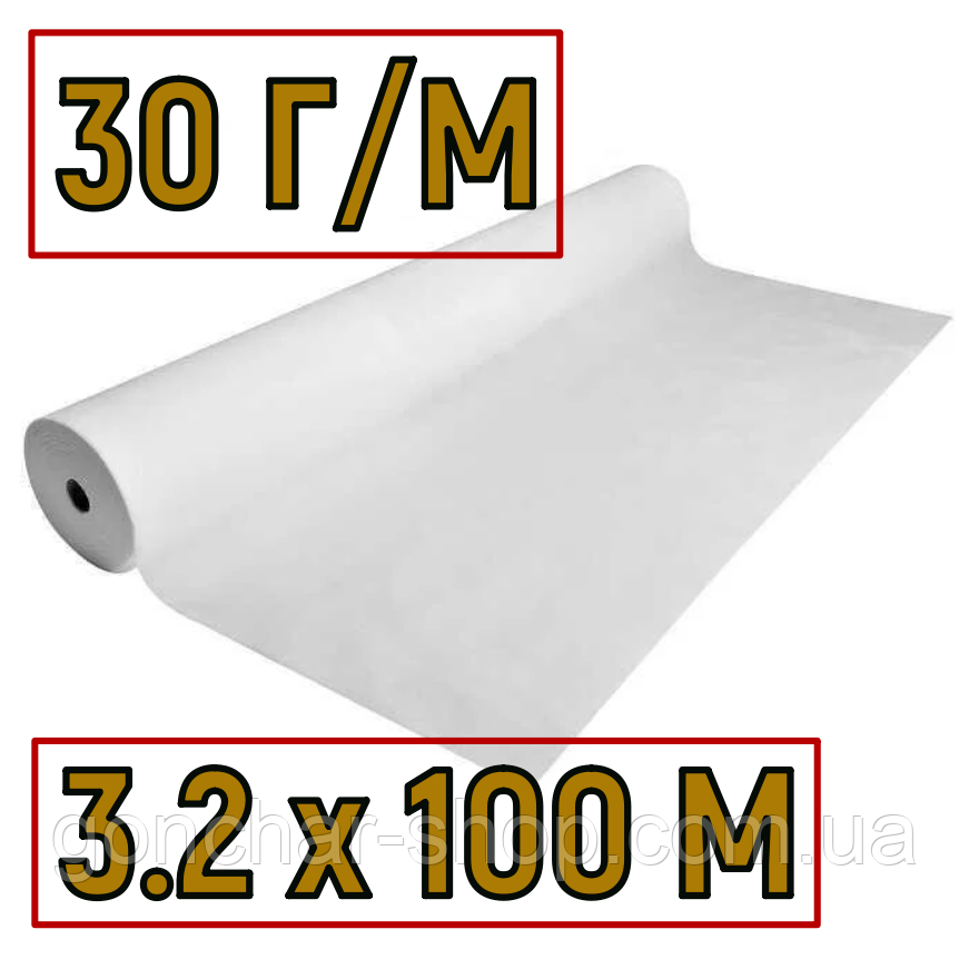 Агроволокно біле 30 г/м 3.2 х 100 м Agrostar Україна, для теплиці укривне, фото 1