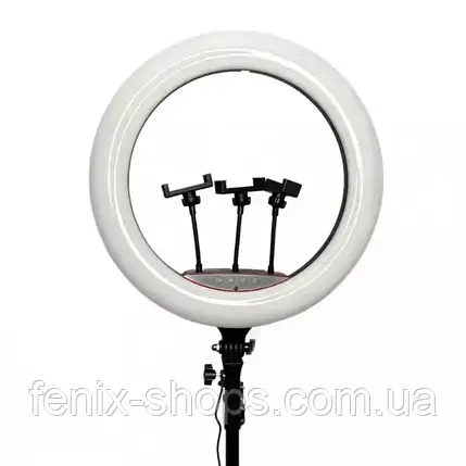 Кільцева LED лампа Ring Fill Light LJJ-45 діаметром 45 см та трьома тримачами для телефону, фото 1