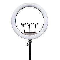 Кільцева LED лампа Ring Fill Light LJJ-22 діаметром 56 см та трьома тримачами для телефону, фото 3