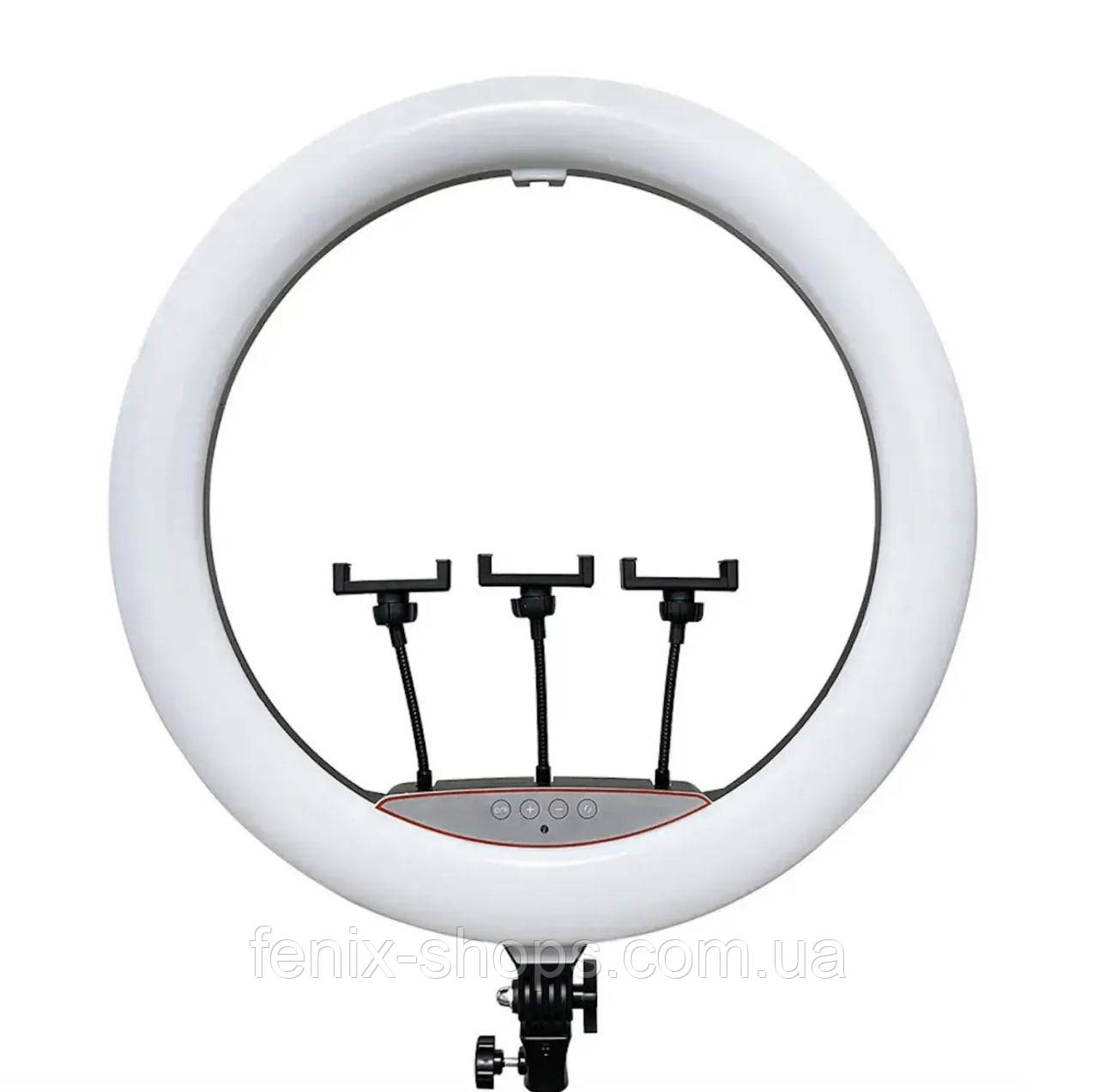 Кільцева LED лампа Ring Fill Light LJJ-22 діаметром 56 см та трьома тримачами для телефону