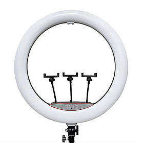 Кільцева LED лампа Ring Fill Light LJJ-22 діаметром 56 см та трьома тримачами для телефону