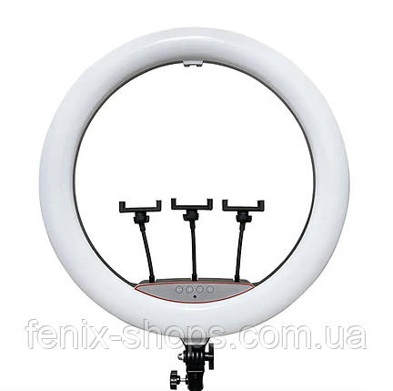 Кільцева LED лампа Ring Fill Light LJJ-22 діаметром 56 см та трьома тримачами для телефону, фото 1