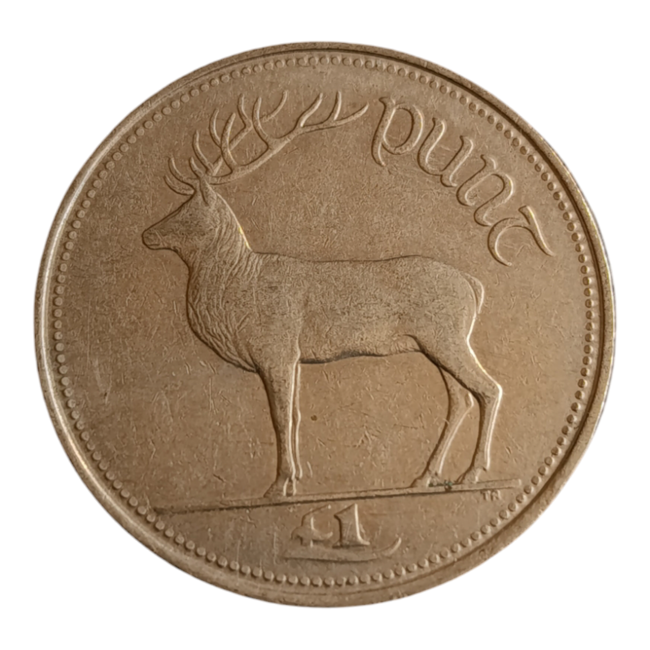 Ірландія 1 фунт, 1990