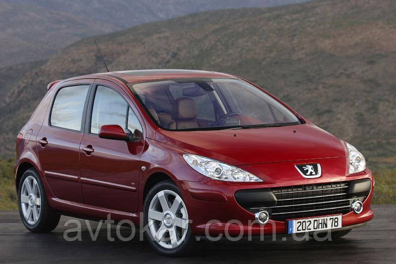 Багажник на дах PEUGEOT 307 Hatctback 2005 AVK, фото 1