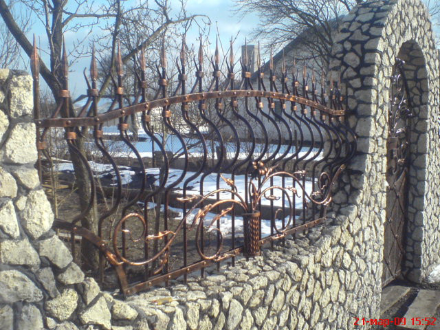 Забір кований Дракон