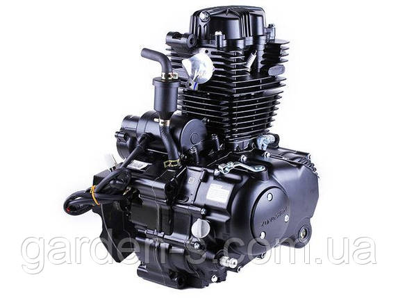 Двигун CG 250/CG250-B ТАТА на мотоцикл ZONGSHEN (оригінал) (з повітряним охолодженням, бензиновий), механіка, фото 3