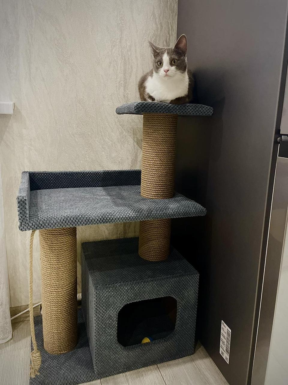 Когтеточка с домиком и лежанкой для кота 85*55*35 см Сірий