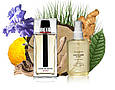 CD Homme Sport - Parfum Analogue 110ml, фото 3