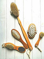 Набір 4 щітки для душу і дерев'яна гребінець