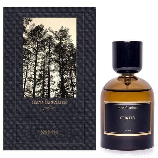 Парфумована вода MEO FUSCIUNI Spirito 100ml Парфумована вода MEO FUSCIUNI Spirito 100ml