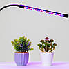 Ультрафіолетова лампа для рослин 10Вт / Фітолампа для квітів з таймером / Кольорова гнучка LED лампа, фото 3