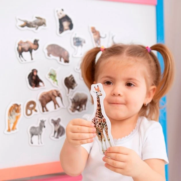 Product image preview