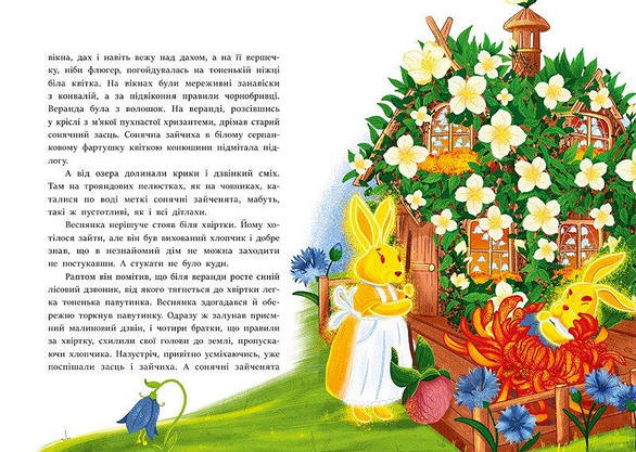 Книга "В Країні Сонячних Зайчиків" | Всеволод Нестайко | Ранок, фото 4
