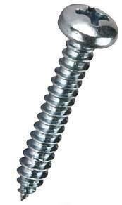 Саморіз із напівкруглою головкою 4,2х25 (2 шт.) на Wagner SF 23 Pro, фото 1