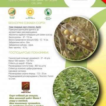 Насіння сої ранньостиглої Ультра РС (75 дн) Monsanto Арт-Агро 2024 рік