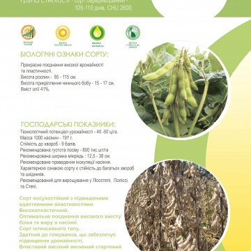 Насіння сої середньоранньої Максус РС (95 дн) Monsanto Арт-Агро 2024 рік