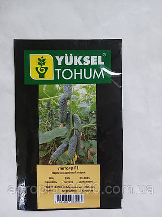 Насіння Огірок самозапильний Лютояр F1, 250 насінин Yuksel seeds, фото 1