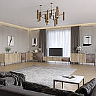 Комплект модульний для вітальні LION Грей 4 елементи з чорними металевими ніжками Дуб сонома трюфель/Дерево (LION-042732)