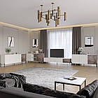 Комплект модульний для вітальні LION Грей 4 елементи з чорними металевими ніжками Бетон Style/Дерево (LION-042738)