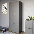 Шафа розпашна дводверна LION Краш з 2 шухлядами Антрацит (LION-044001)