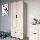 Шафа розпашна дводверна LION Краш з 2 шухлядами Самоа димчастий (LION-044005)