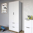 Шафа розпашна дводверна LION Краш з 2 шухлядами Німфея альба (LION-044010)