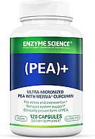 Enzyme Science PEA + Meriva Curcumin / ПЕА Пальмітоілетаноламід + куркумін Meriva 120 капсул