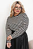 Жіноча молодіжна трикотажна смугаста кофта-лонгслів, батал великі розміри, фото 6