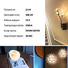 Світлодіодна лампа OSRAM LED PIN Capsule 2,6W 300Lm 2700K AC/DC 12V G4 Прозорий (4058075431997), фото 5