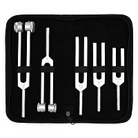 Набір з 5 камертонів для дослідження слуху, в кейсі: 128 Гц, 256 Гц, 512 Гц, 1024 Гц, 2048 Гц