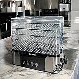 Електросушка дегідратор 1000Вт Rainberg для фруктів овочів м'яса 5 секцій сушарка з терморегулятором, фото 2