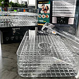 Електросушка дегідратор 1000Вт Rainberg для фруктів овочів м'яса 5 секцій сушарка з терморегулятором, фото 8