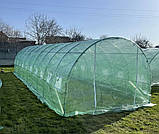 Теплиця, парник садова армована 10х3х2 м 30 м² (труба 25 мм) Tunel3x10 плівкова, фото 2