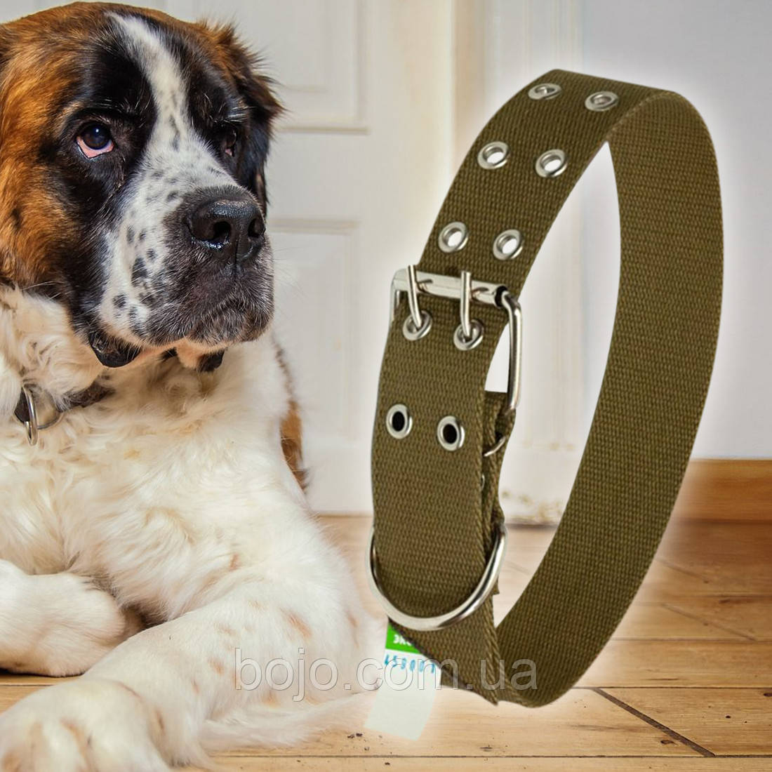 Нашийник брезентовий для собак Економ №47 одинарний 45 мм - довжина 58 см (2021)