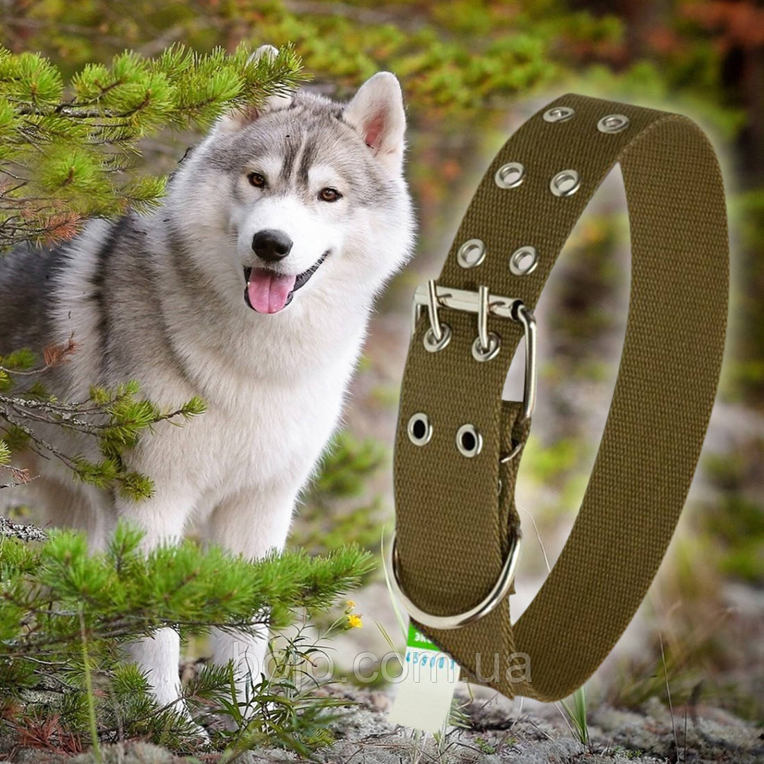 Нашийник брезентовий для собак Економ №46 одинарний 40 мм - довжина 54 см (2021)