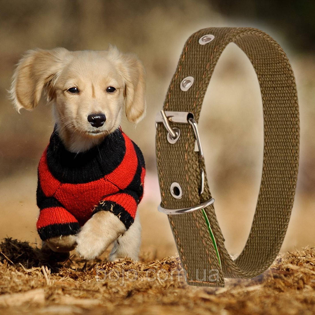 Нашийник брезентовий для собак Економ №49 подвійний 25 мм - довжина 42 см (2021)