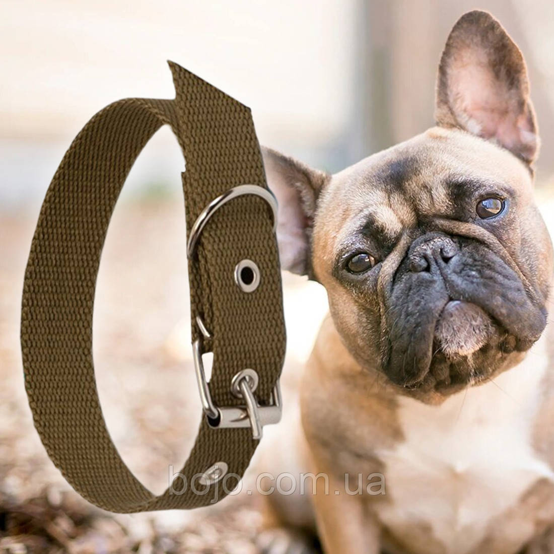 Нашийник брезентовий для собак Економ №44 одинарний 30 мм - довжина 47 см (2021)