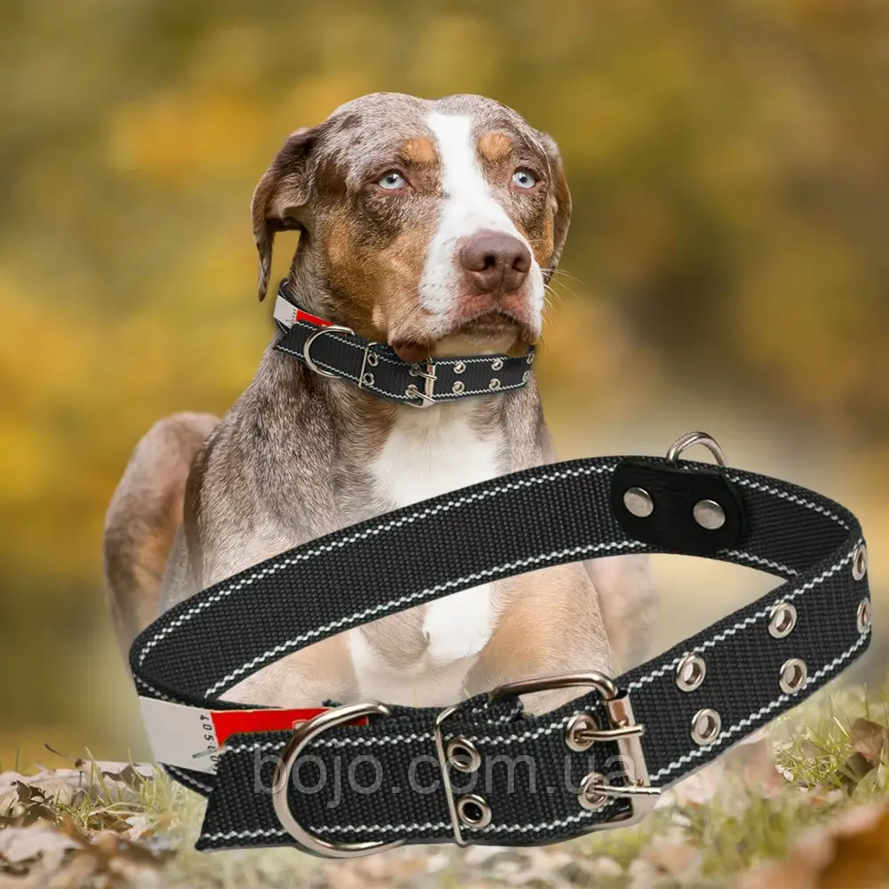 Нашийник капроновий для собак №137 повійний 45 мм - довжина 81 см, Чорний (2021)