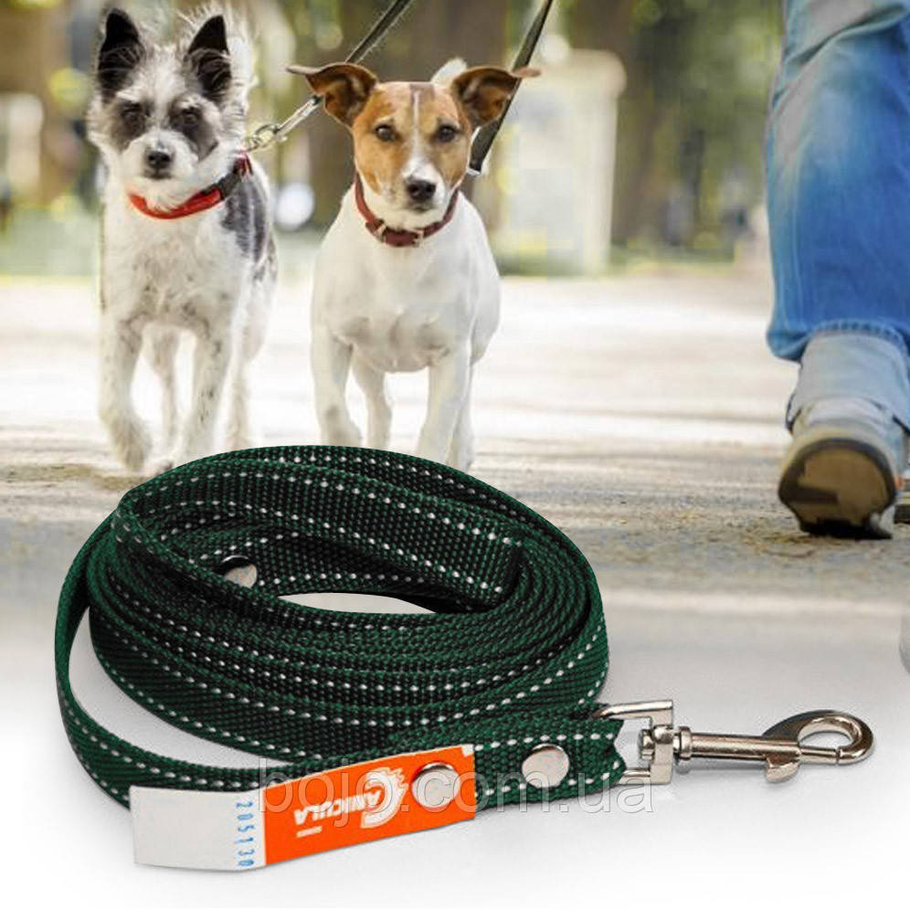 Універсальний повідець із капрону для собак з карабіном для кріплення 25 мм - 3 м, Чорний (2021)